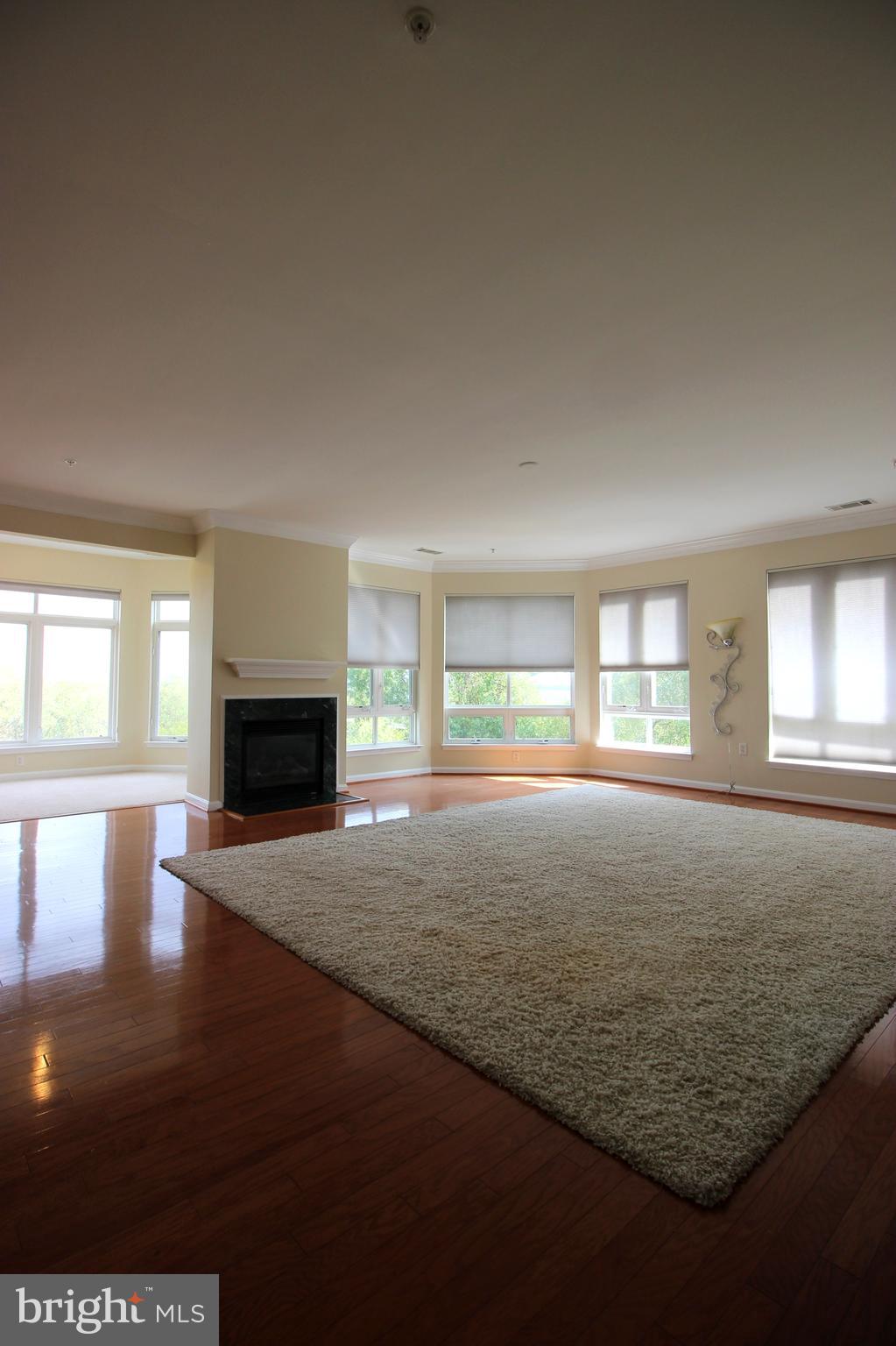 POTOMAC POINTE CONDOMINI - Residential Lease