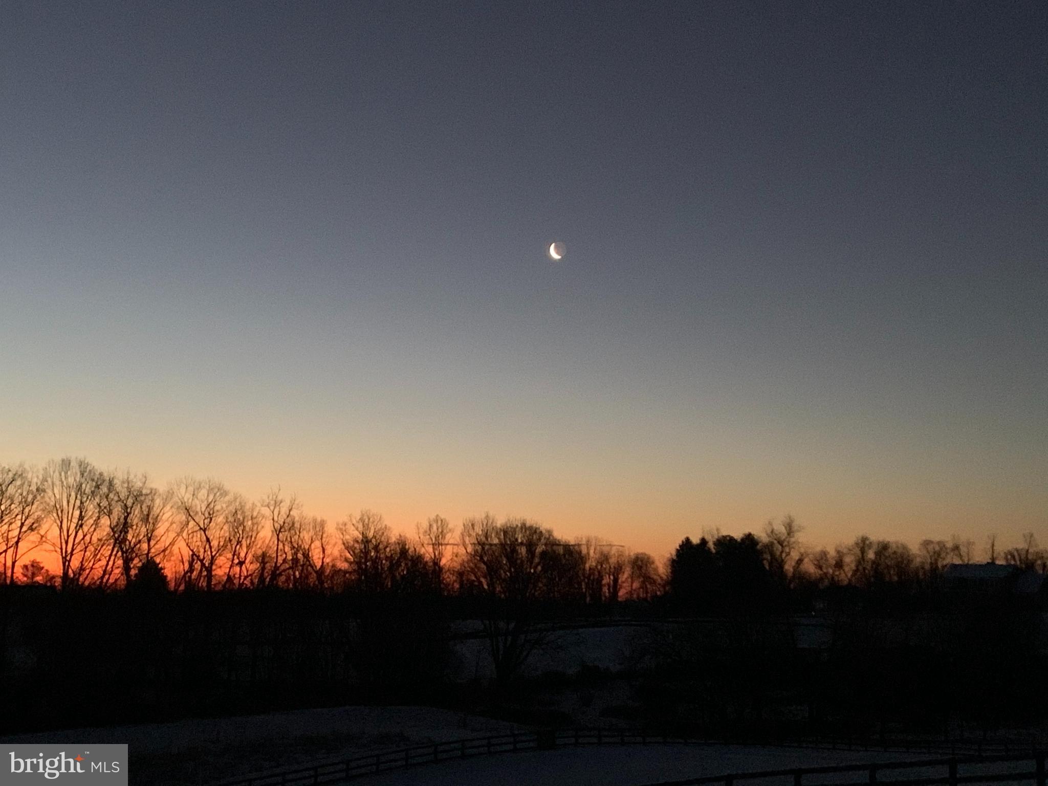 BLACK OAK RIDGE - Residential