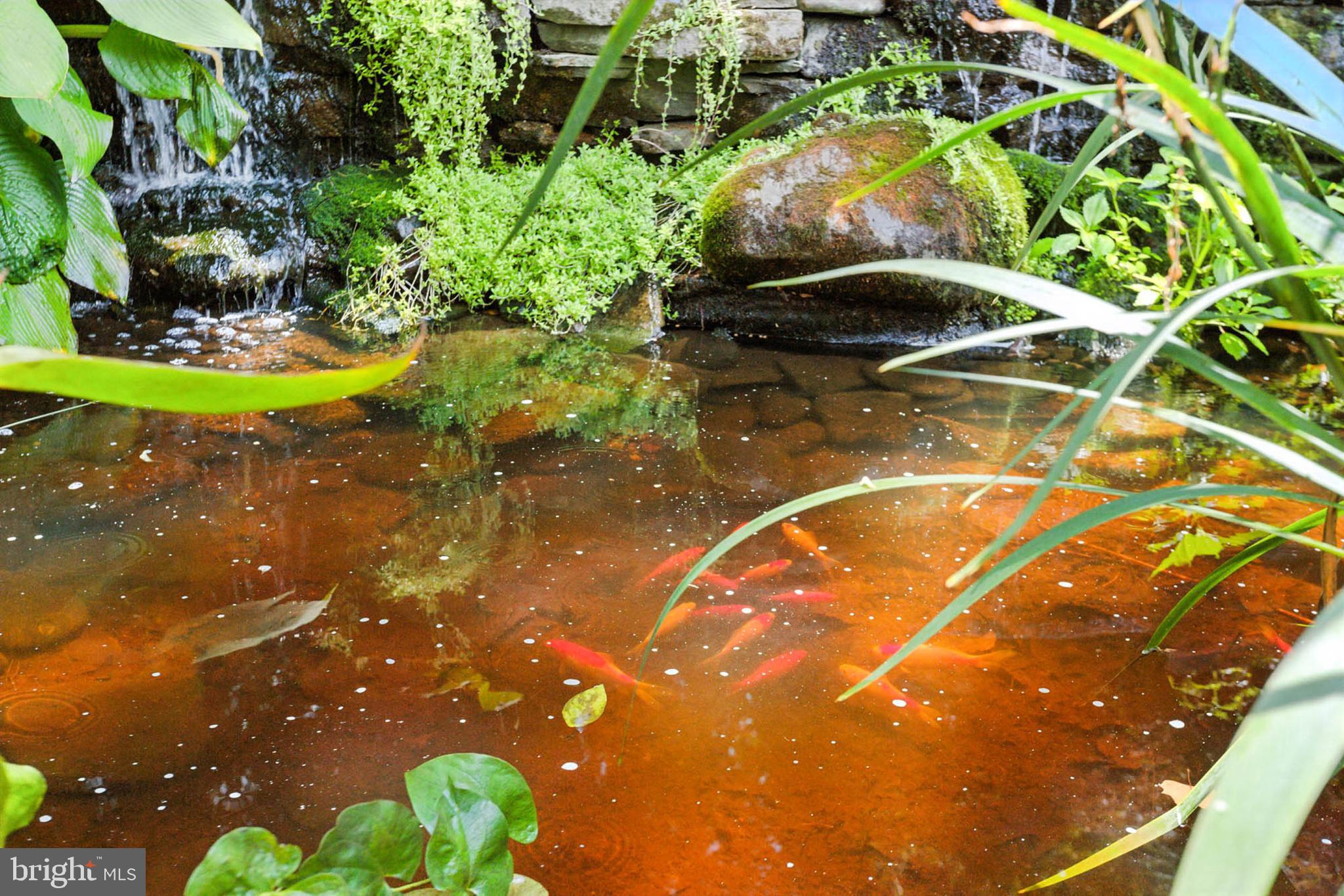 TIMBERLEA - Residential