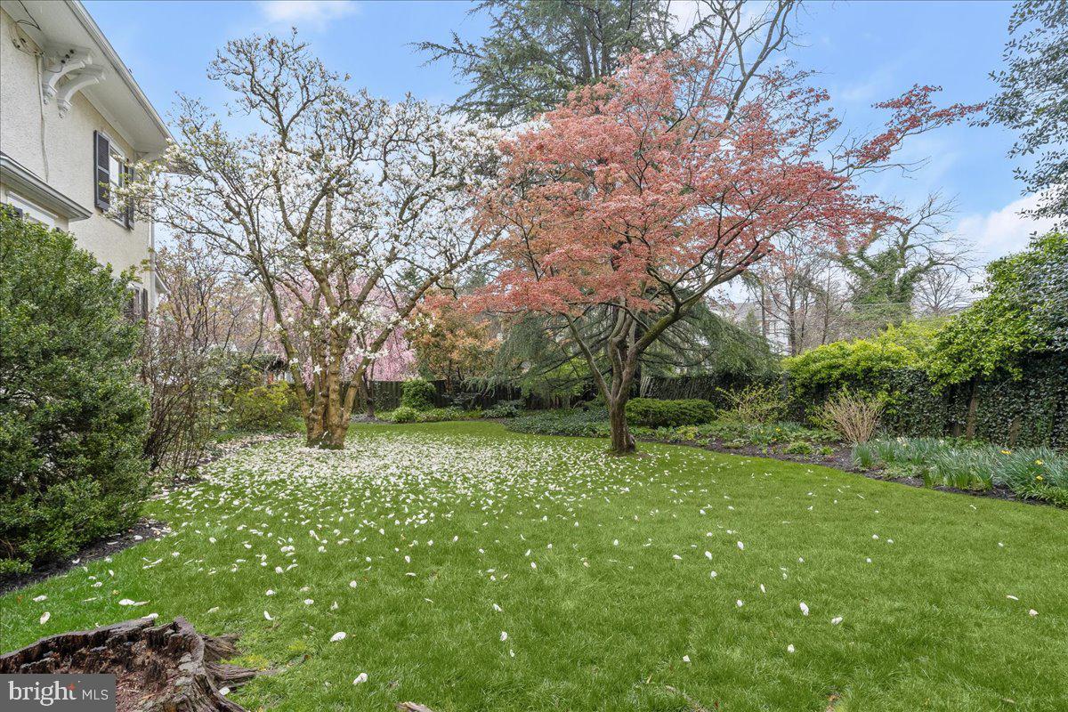 MARTINS ADDITION - Residential