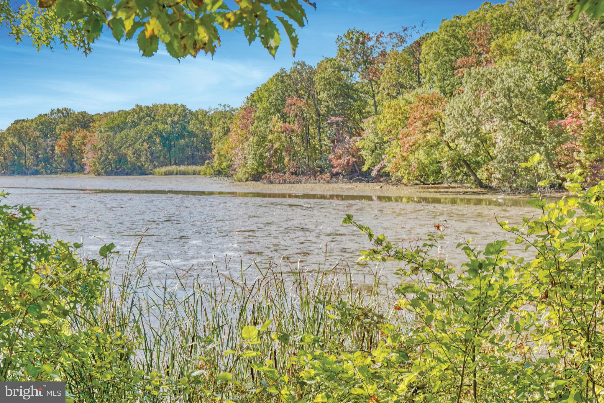 WATERFORD LANDING - Residential