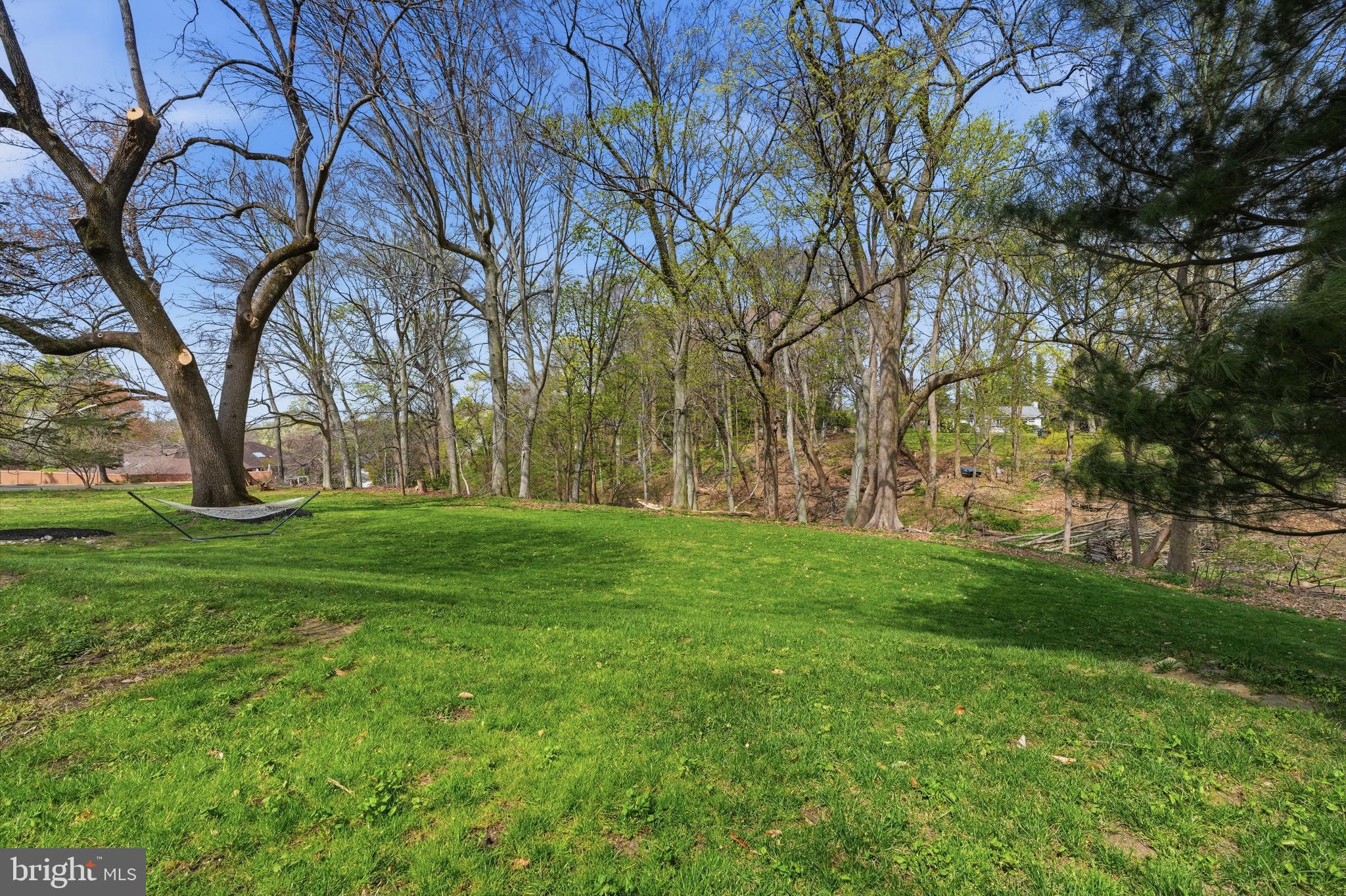 HUNTINGDON VALLEY - Residential