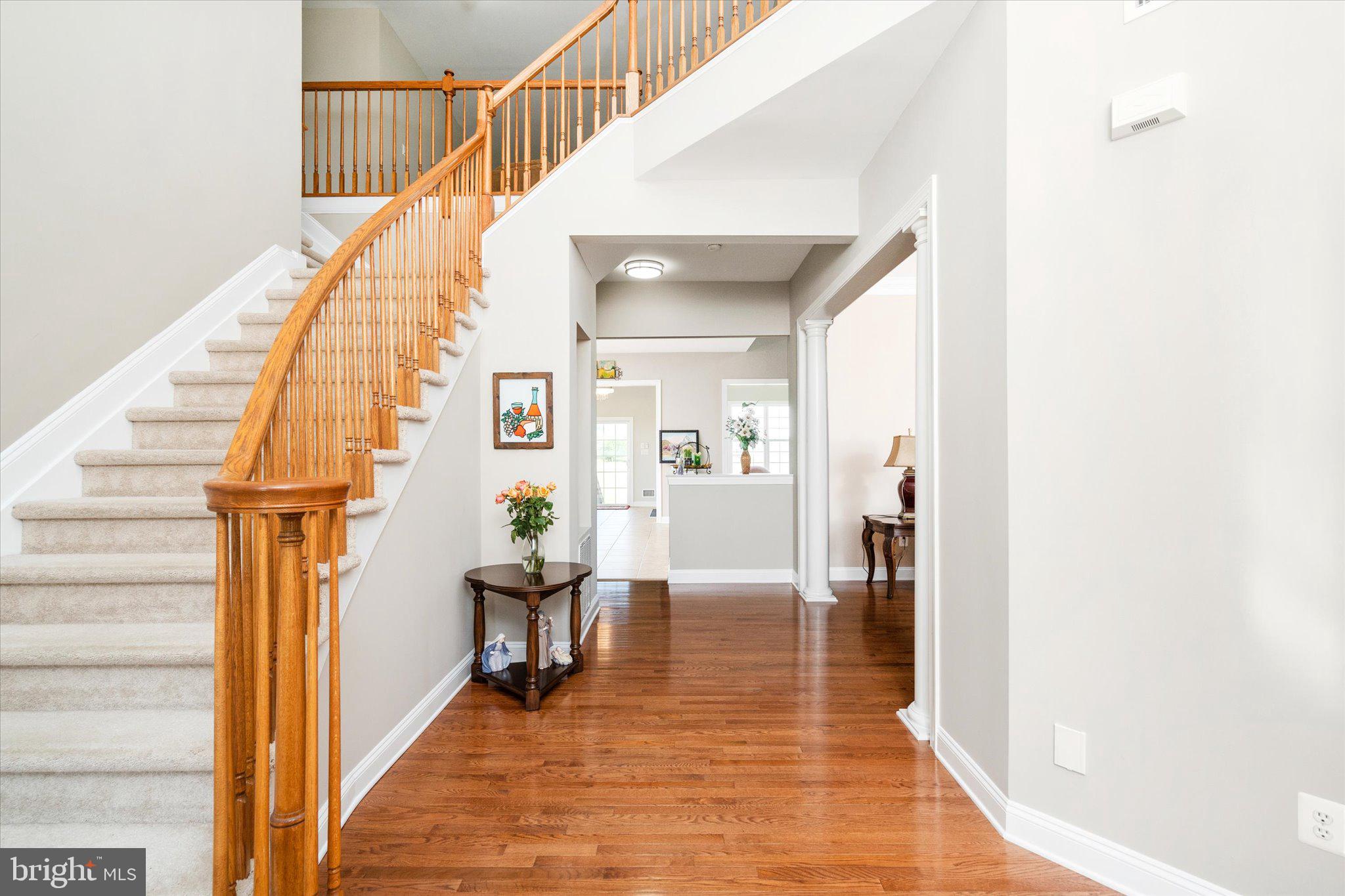 17 BELMONT CIRCLE