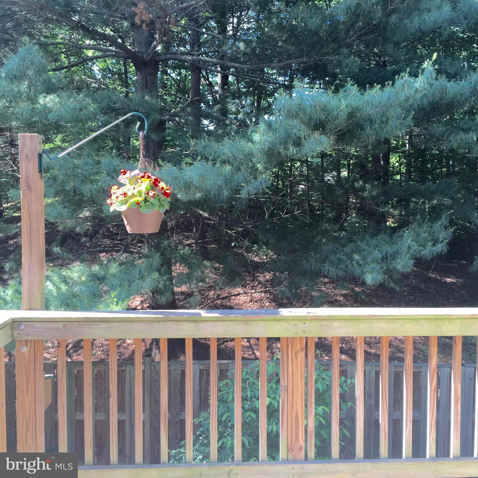 MONTCLAIR ST4 - Residential