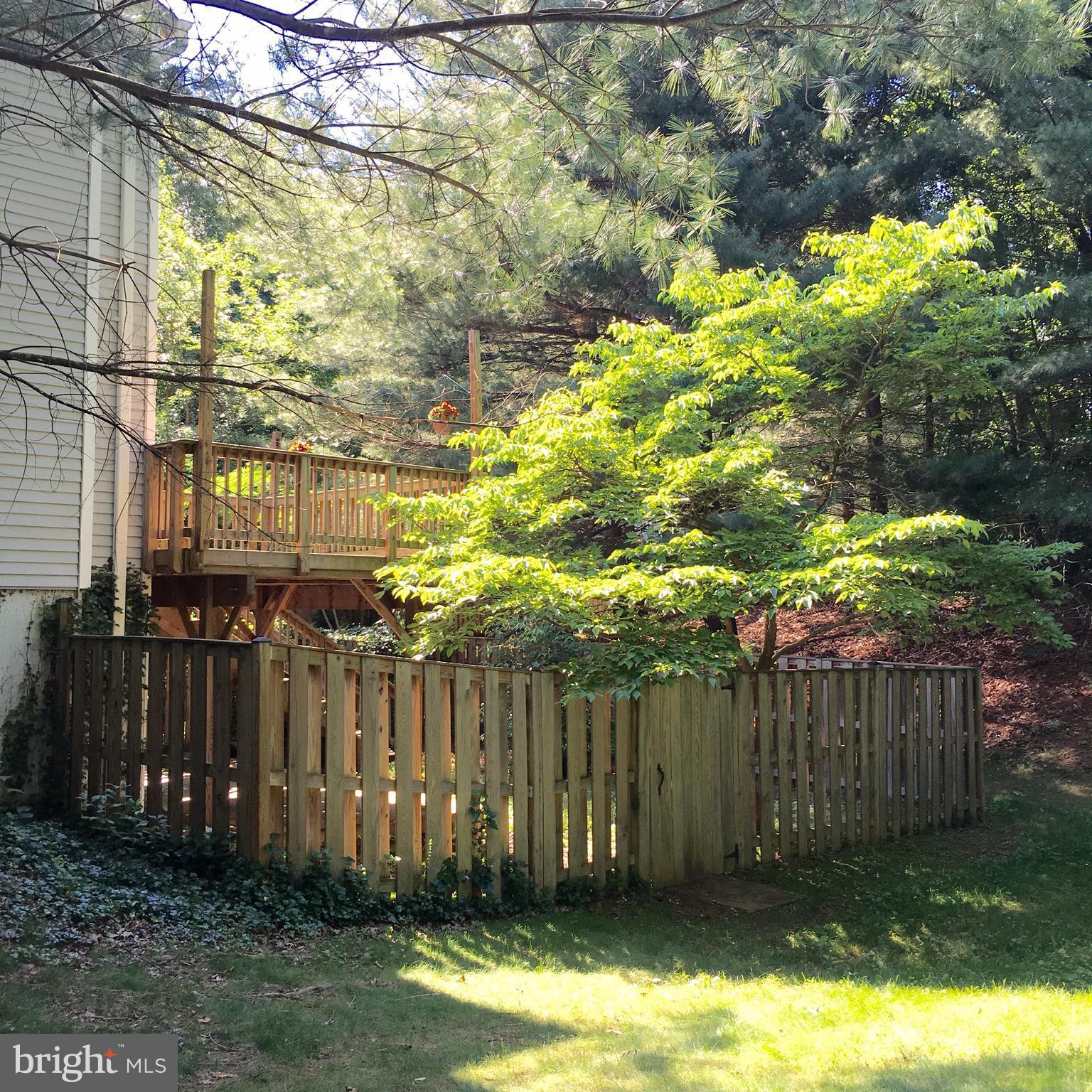 MONTCLAIR ST4 - Residential