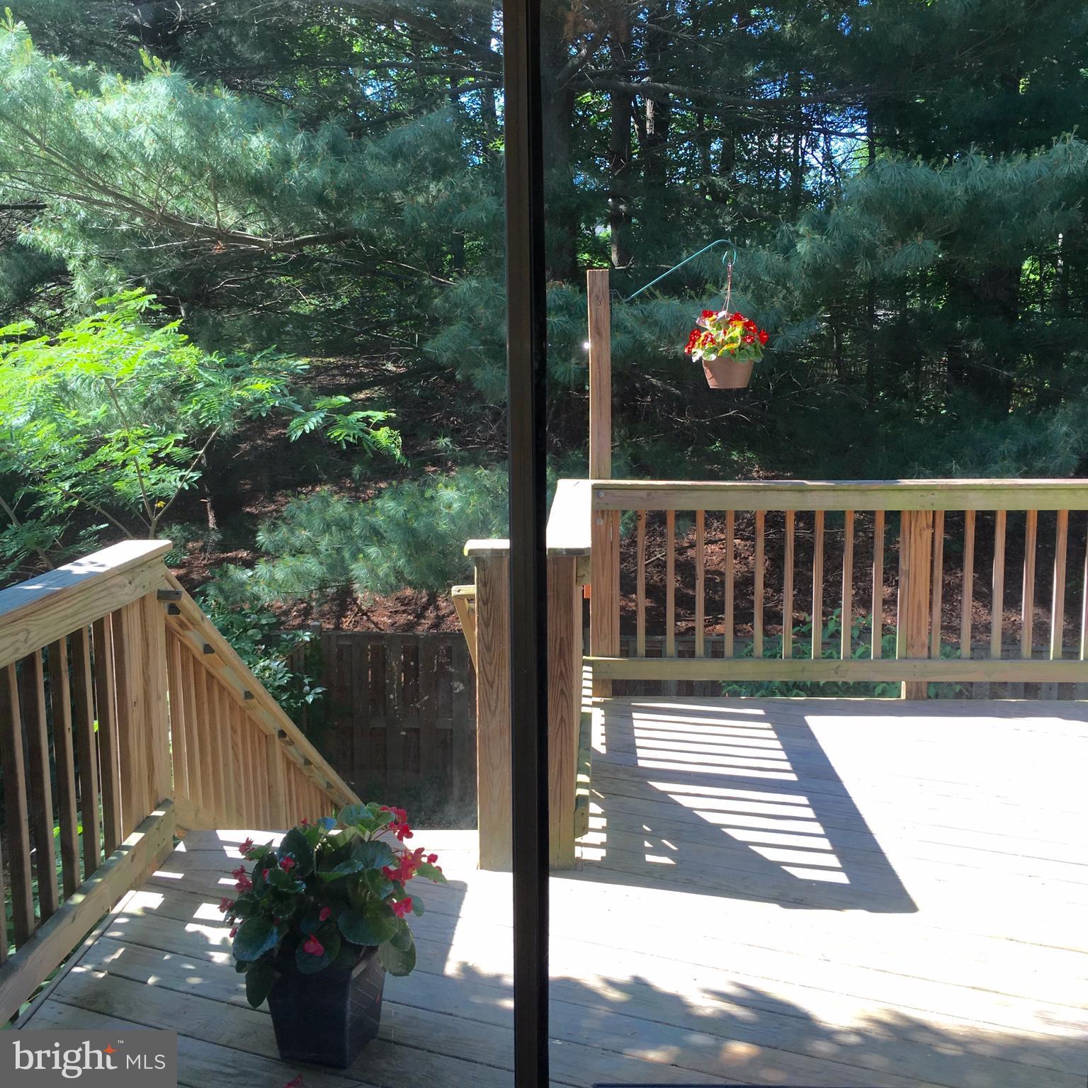 MONTCLAIR ST4 - Residential