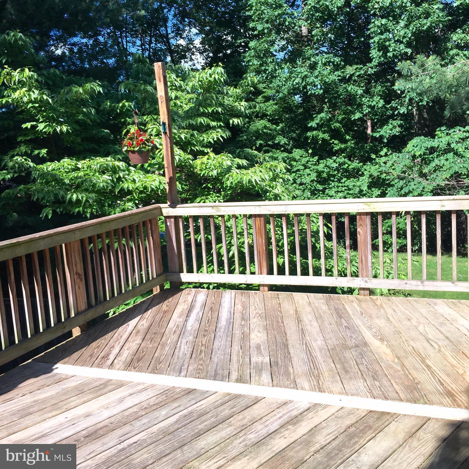 MONTCLAIR ST4 - Residential