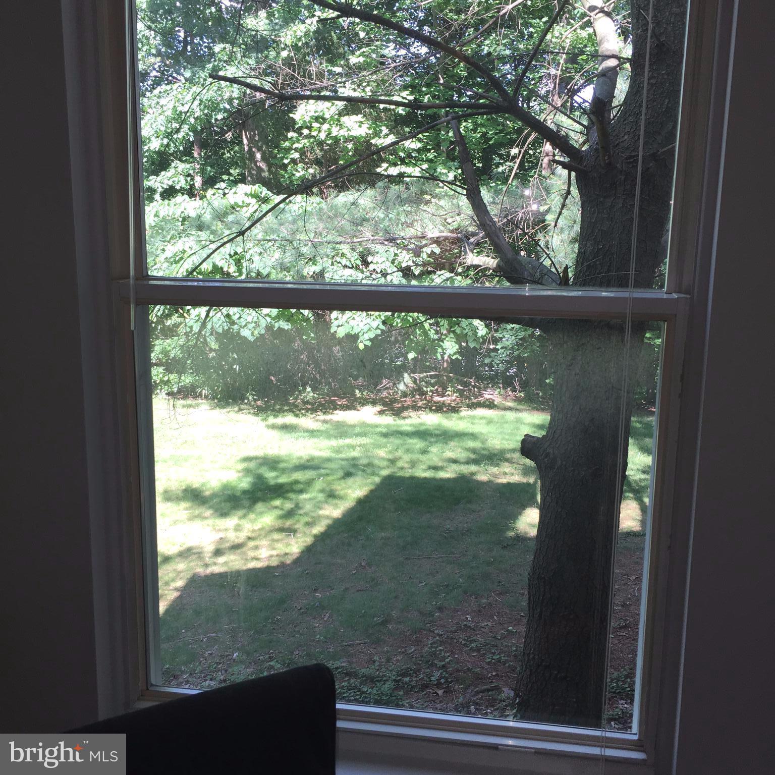 MONTCLAIR ST4 - Residential