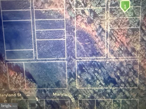 MLS: MDPG2200210