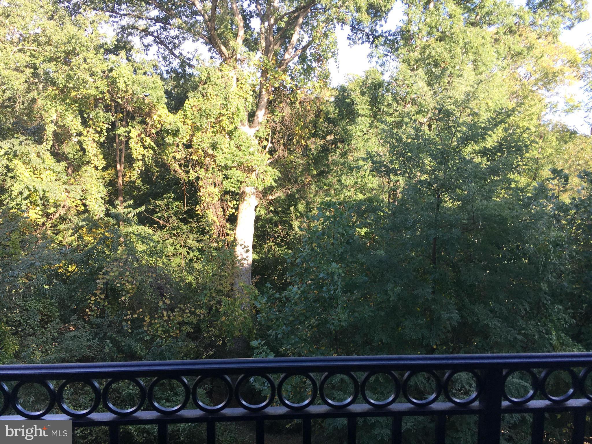 ELLICOTT HILLS - Residential