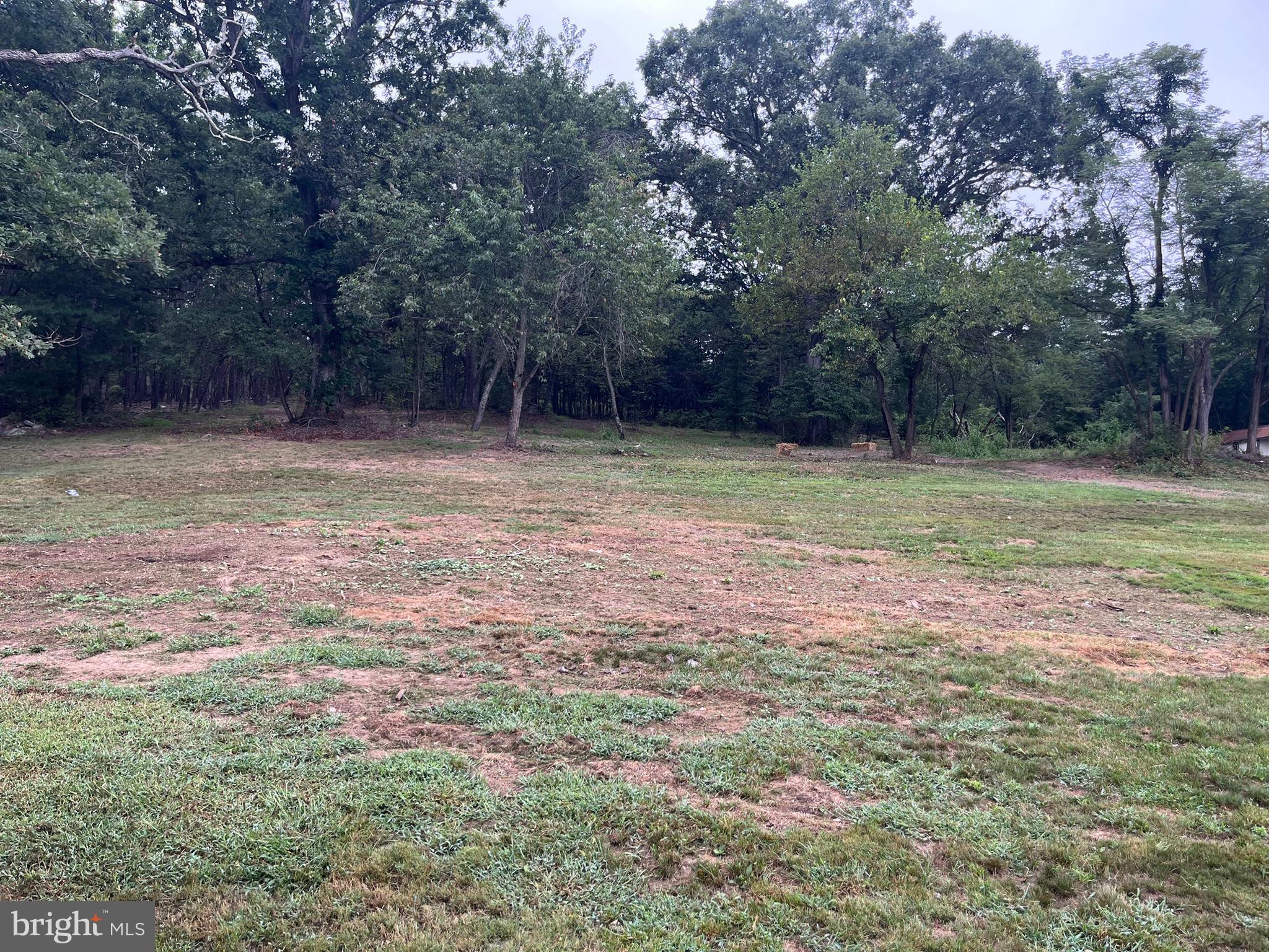 CRESAPTOWN - Residential