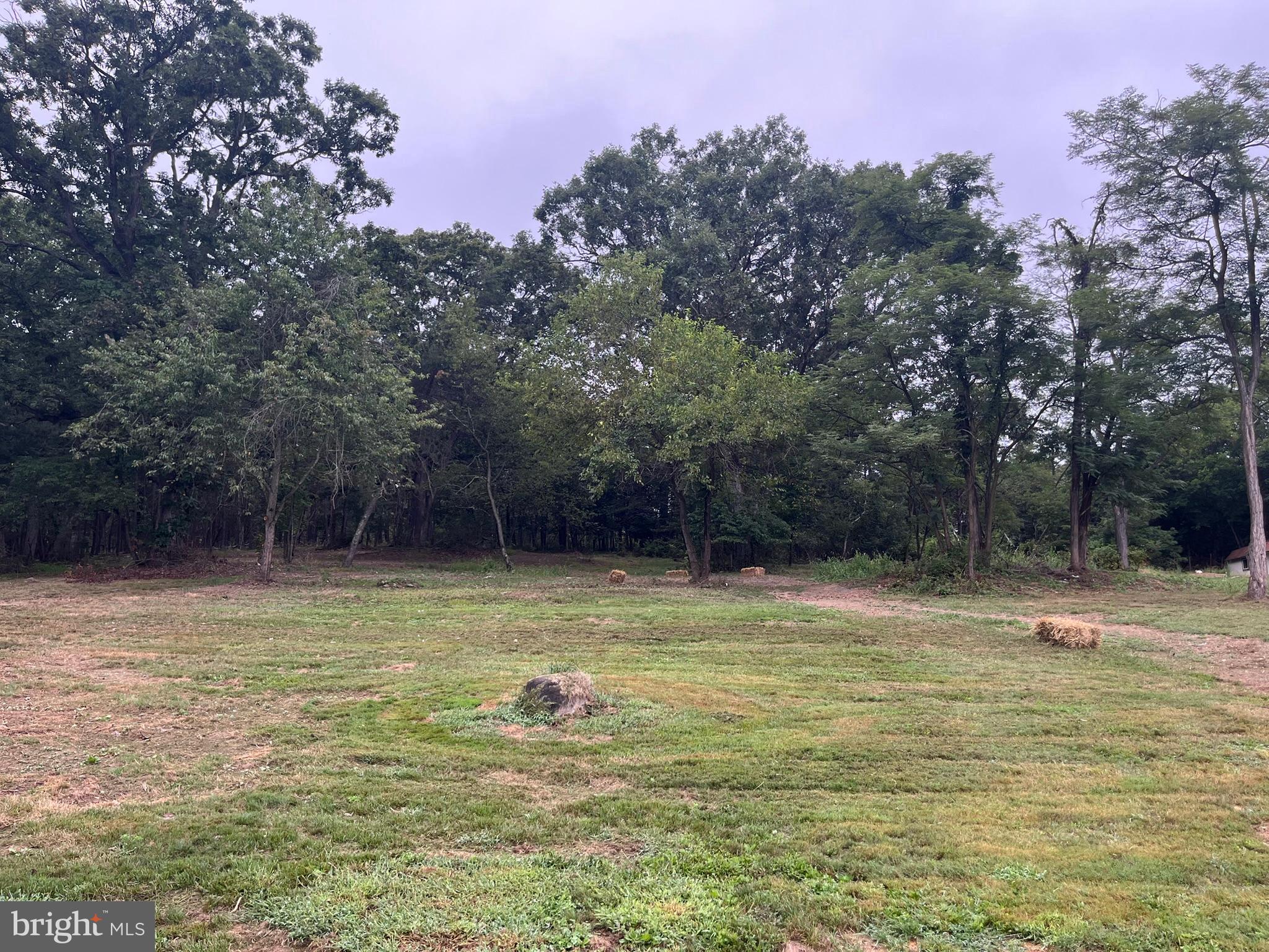 CRESAPTOWN - Residential