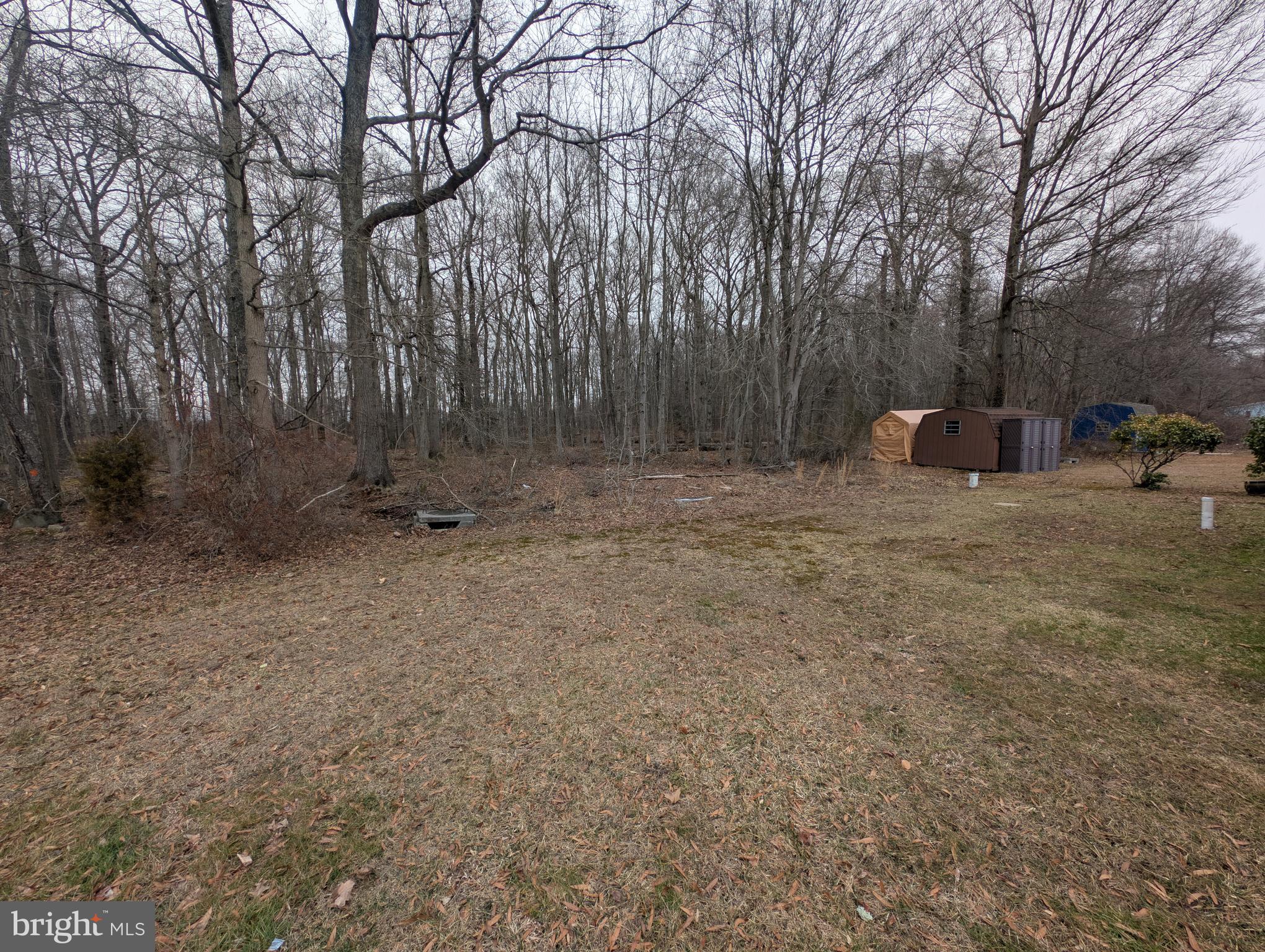 BUSH RIVER MANOR - Residential