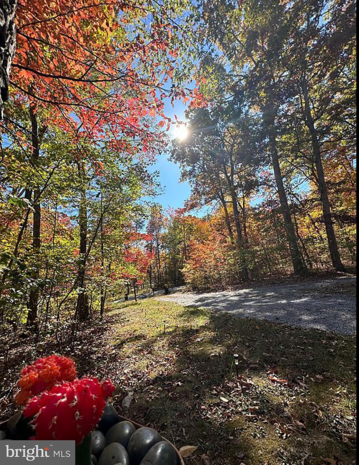 MASSANUTTEN FOREST - Residential