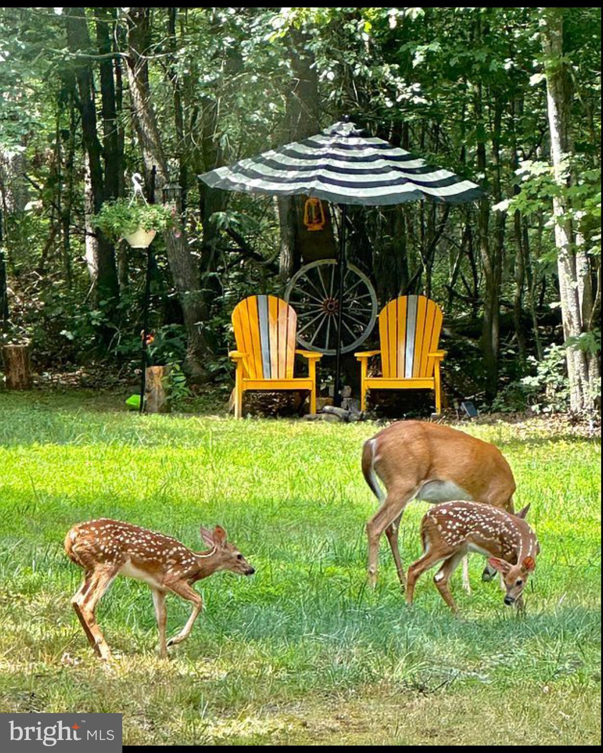 MASSANUTTEN FOREST - Residential