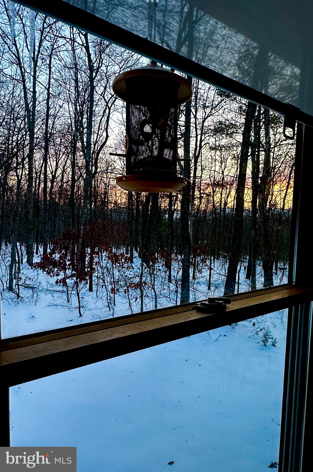 MASSANUTTEN FOREST - Residential