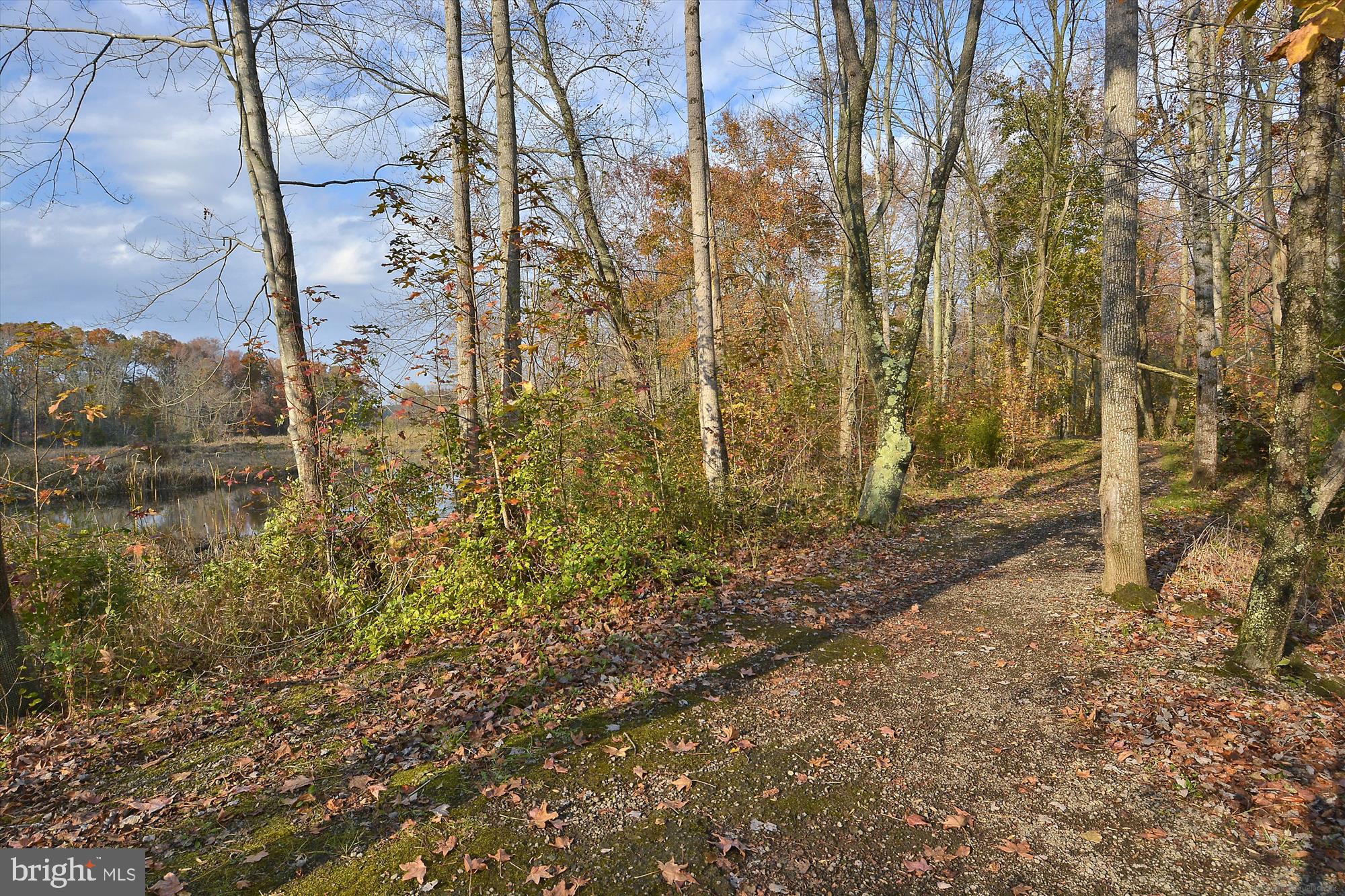 CENTREVILLE - Residential