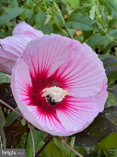 SANDY RUN - Residential