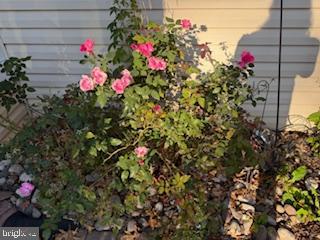 SANDY RUN - Residential