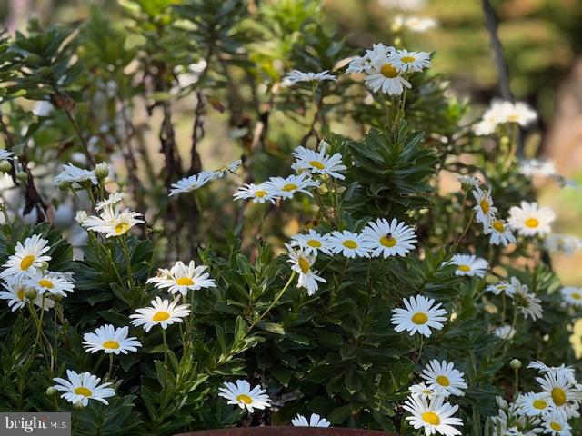 SANDY RUN - Residential