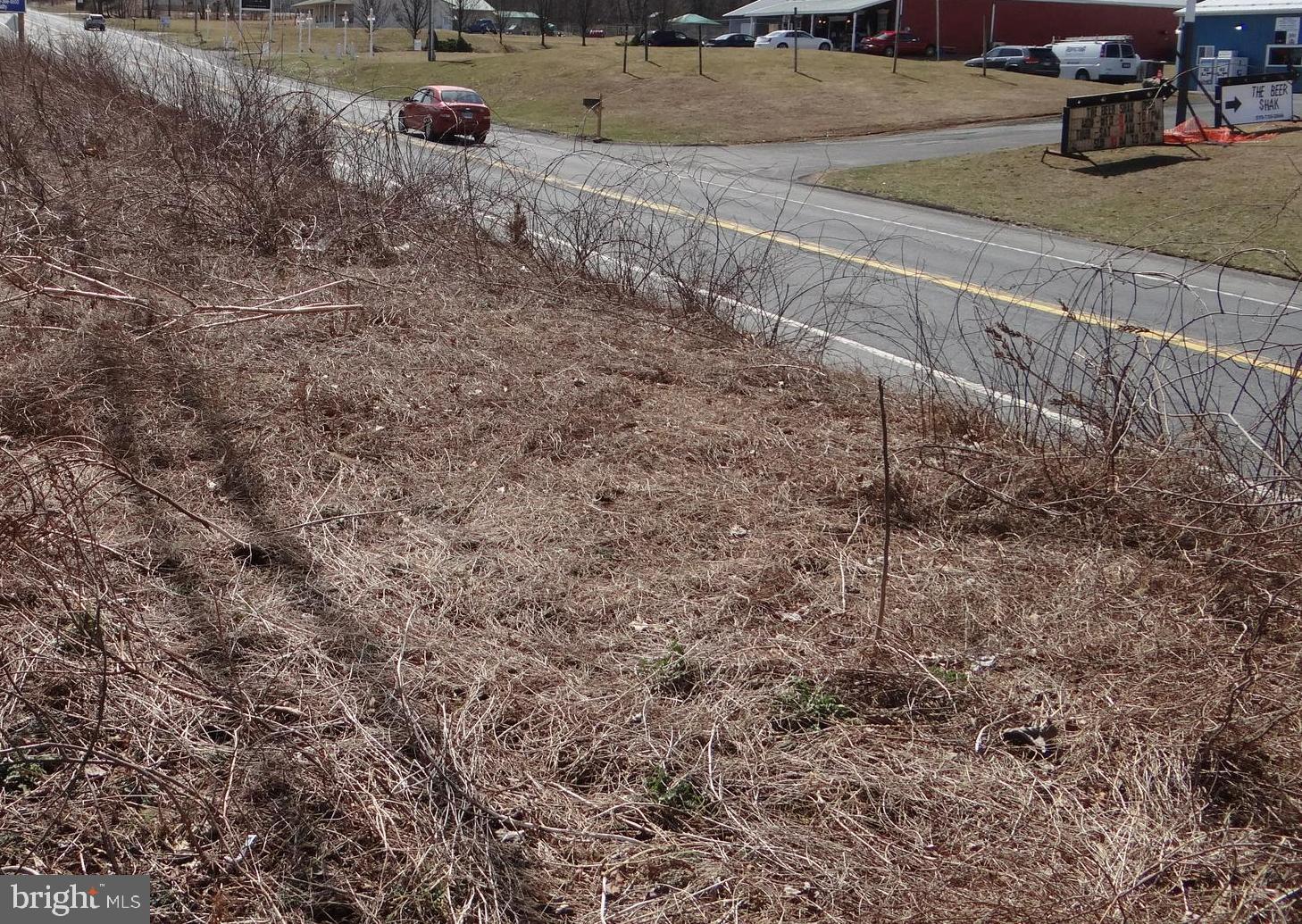 PRIME COMMERCIAL LOCATION!!! Great location for your new business! 2 level & cleared lots in busy area on 183. Road frontage off Rte 183 & Plum Creek Rd. Plus possible road access of both Rte 183 & Plum Creek Rd!! High traffic area! Close to Lake Wynonah community & other new businesses. Two perc approvals.