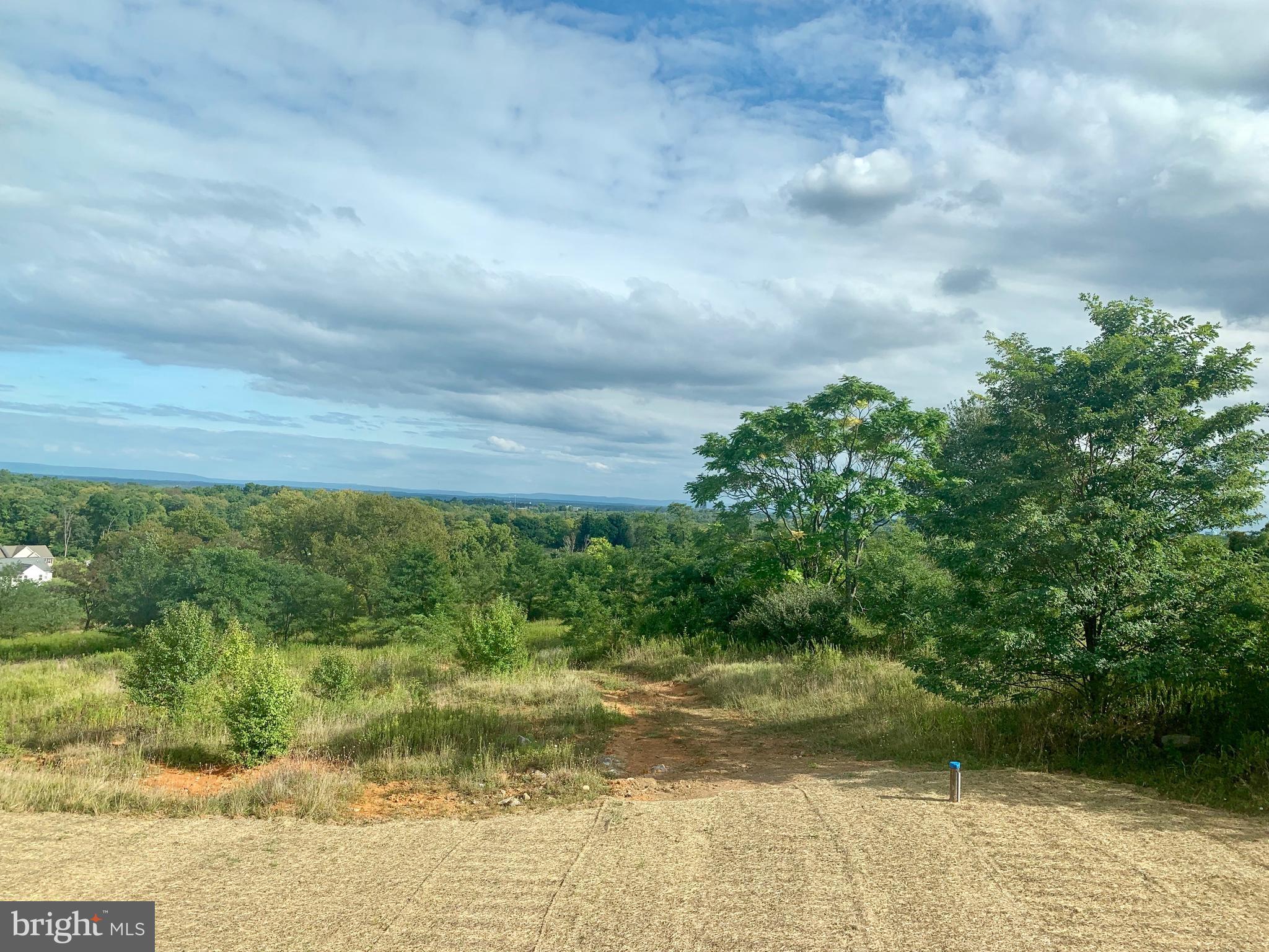 RIDGES OF TUSCARORA - Residential