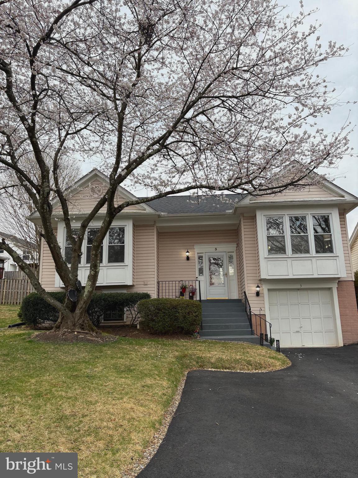3 TRIPOLEY TERRACE