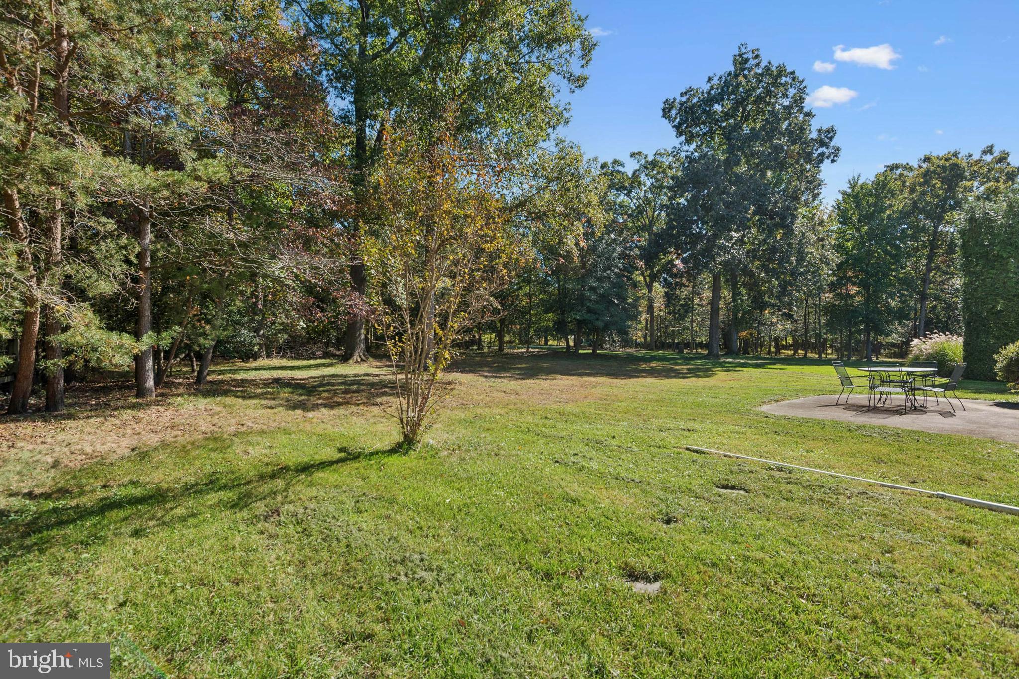 HUNT MEADOW - Residential