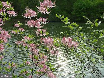 SLEEPY HOLLOW - Residential