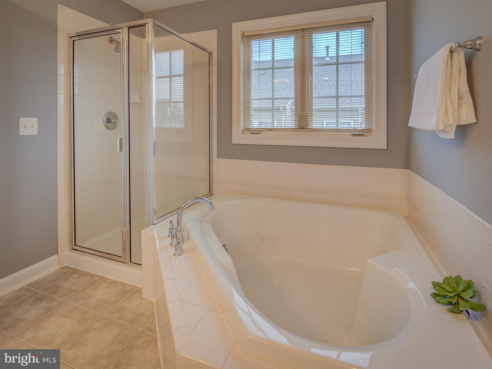 LORTON VALLEY - Residential Lease