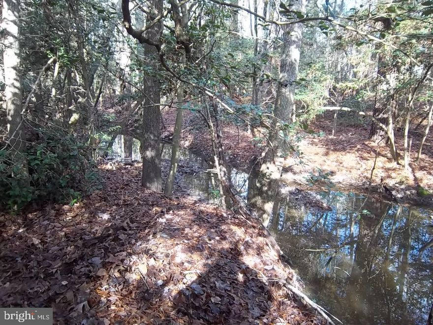 NEW PRICE ! This Parcel includes two lots totaling 3.73 acres on the corner of Miles branch Rd and Meadowbrook Rd. Lot #1 is buildable and high (expired approved perc) - 1.229 acres. Lot #2 is Open space and not buildable per deed - 2.5 acres - Plat and deed included in documents.
Nice neighborhood just outside of Federalsburg, MD with easy access to Bridgeville, DE, Seaford, DE and about 40 minutes +/- to Easton and/or Denton, MD. Wooded lot with a high area for your new home and a potential park setting with a stream on lot #2.