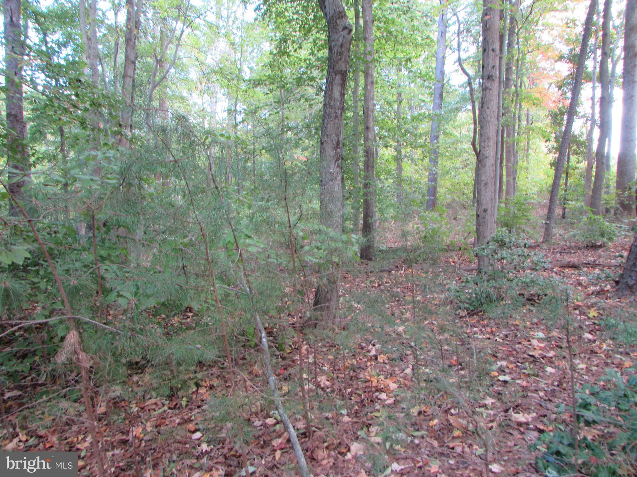 145 STAFFORD ROAD