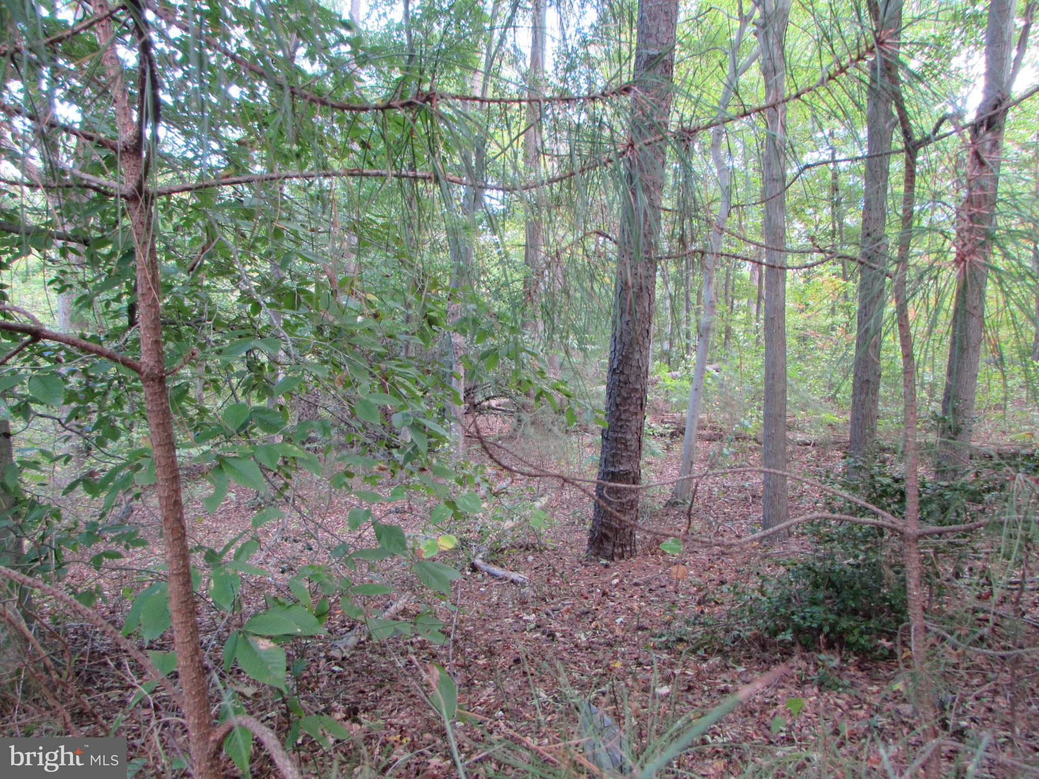 CALVERT COUNTY - GREAT PRINCE FREDERICK LOCATION - Discover the perfect opportunity to build your dream home on these peaceful 9-acres of level and rolling land, nestled in a quiet country setting convenient to Prince Frederick and the Southern Maryland Community College. With no HOA and distant neighbors, you can enjoy complete privacy and freedom on your property. The heavily wooded landscape adds natural beauty, making it an ideal escape from the hustle and bustle of city life. Located just an hour from Washington, D.C., Annapolis, and multiple military installations, this land offers the rare combination of rural charm and convenient city access. Whether you're planning a custom home or a private retreat, this acre provides the perfect canvas for your vision. Don't miss out on this rare opportunity to own a slice of the countryside within easy reach of the nation's capital.