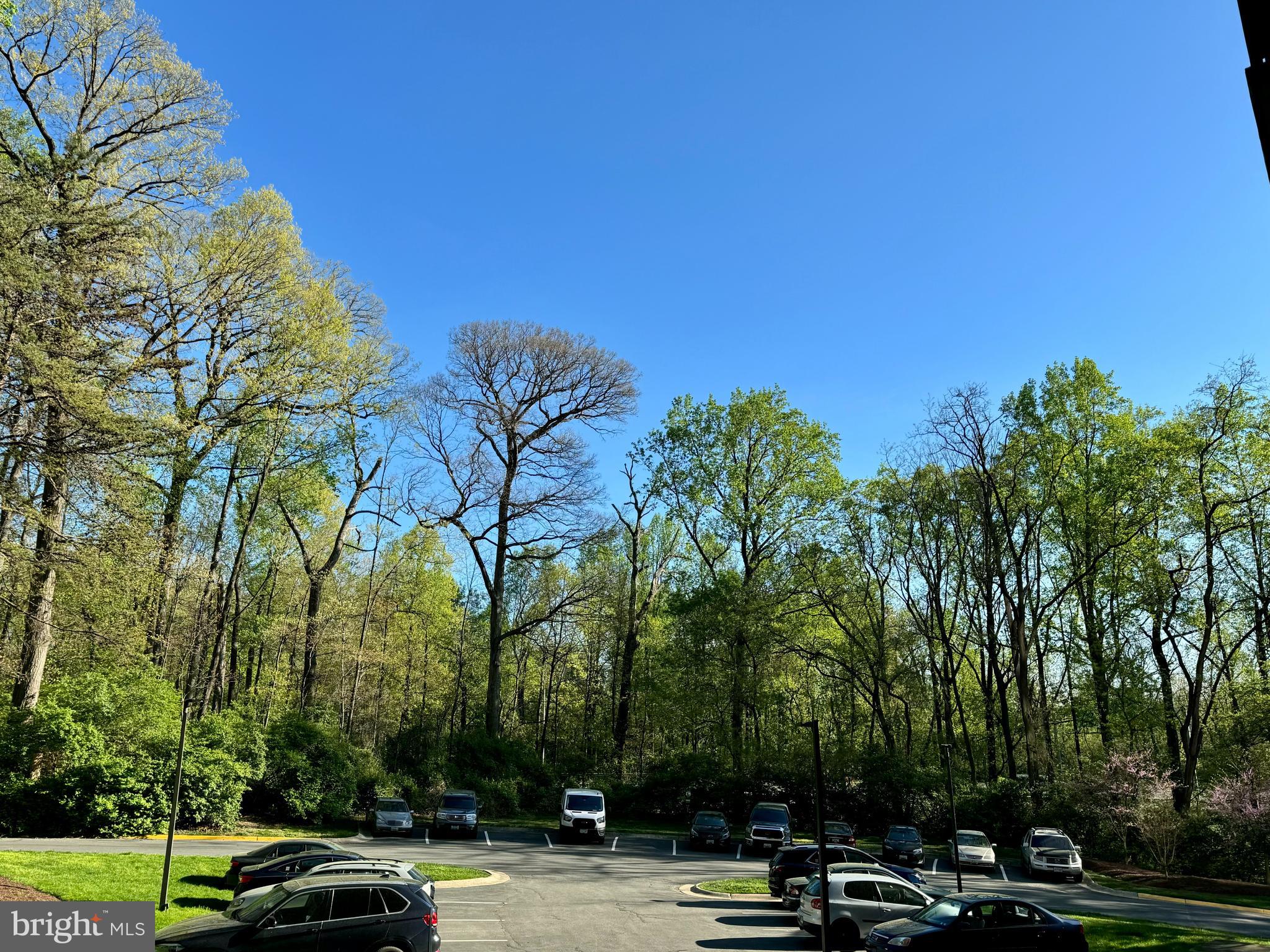 PROMENADE TOWERS - Residential Lease