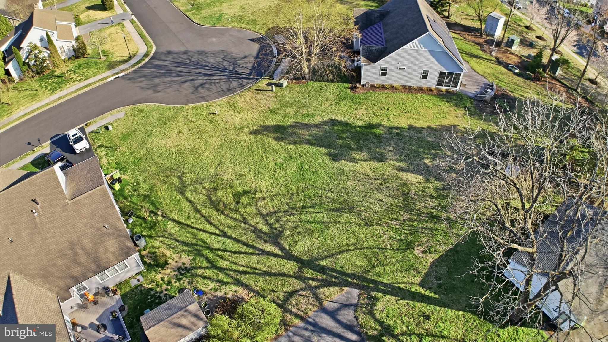 203 SASSAFRAS LANE