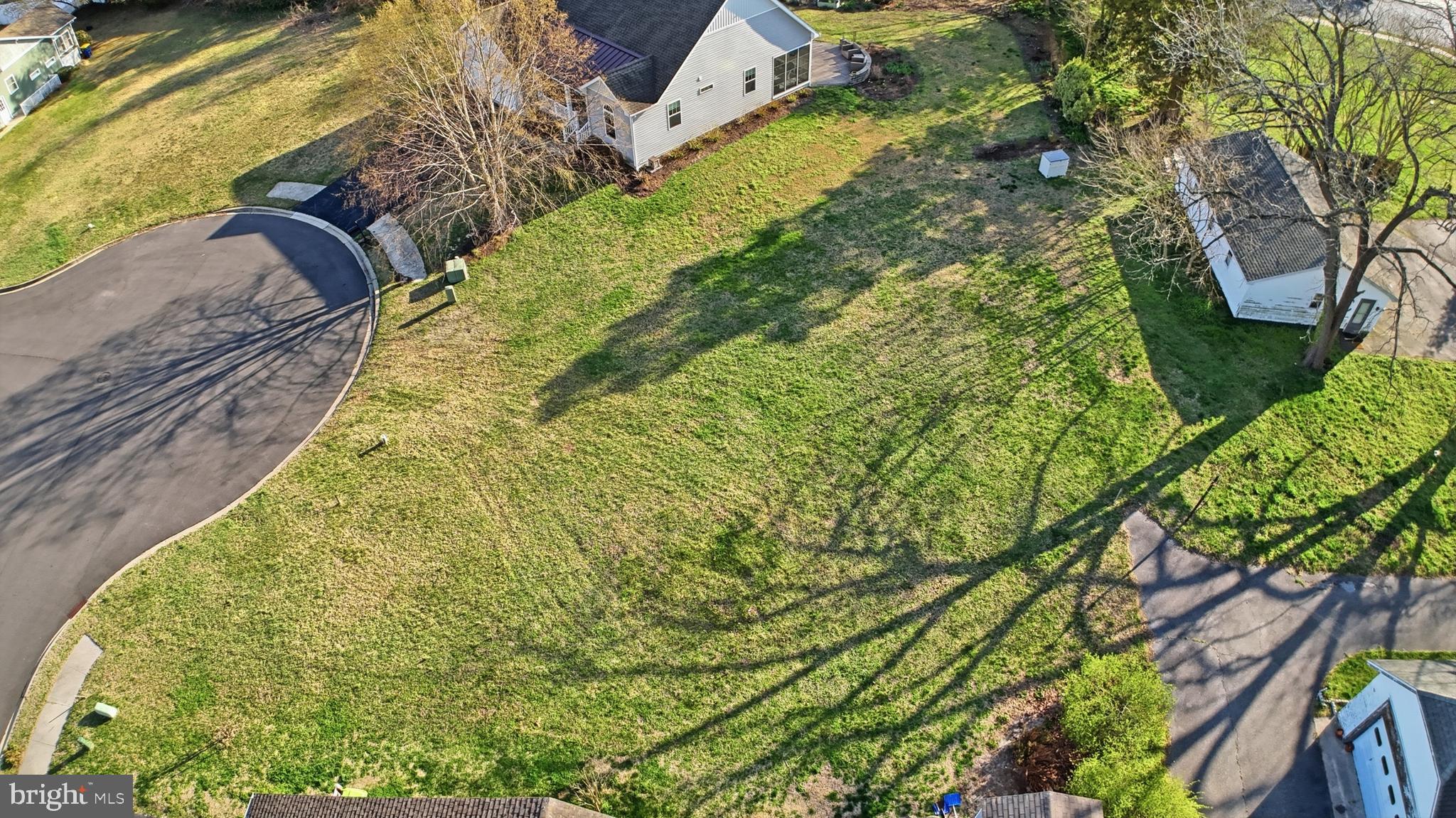203 SASSAFRAS LANE