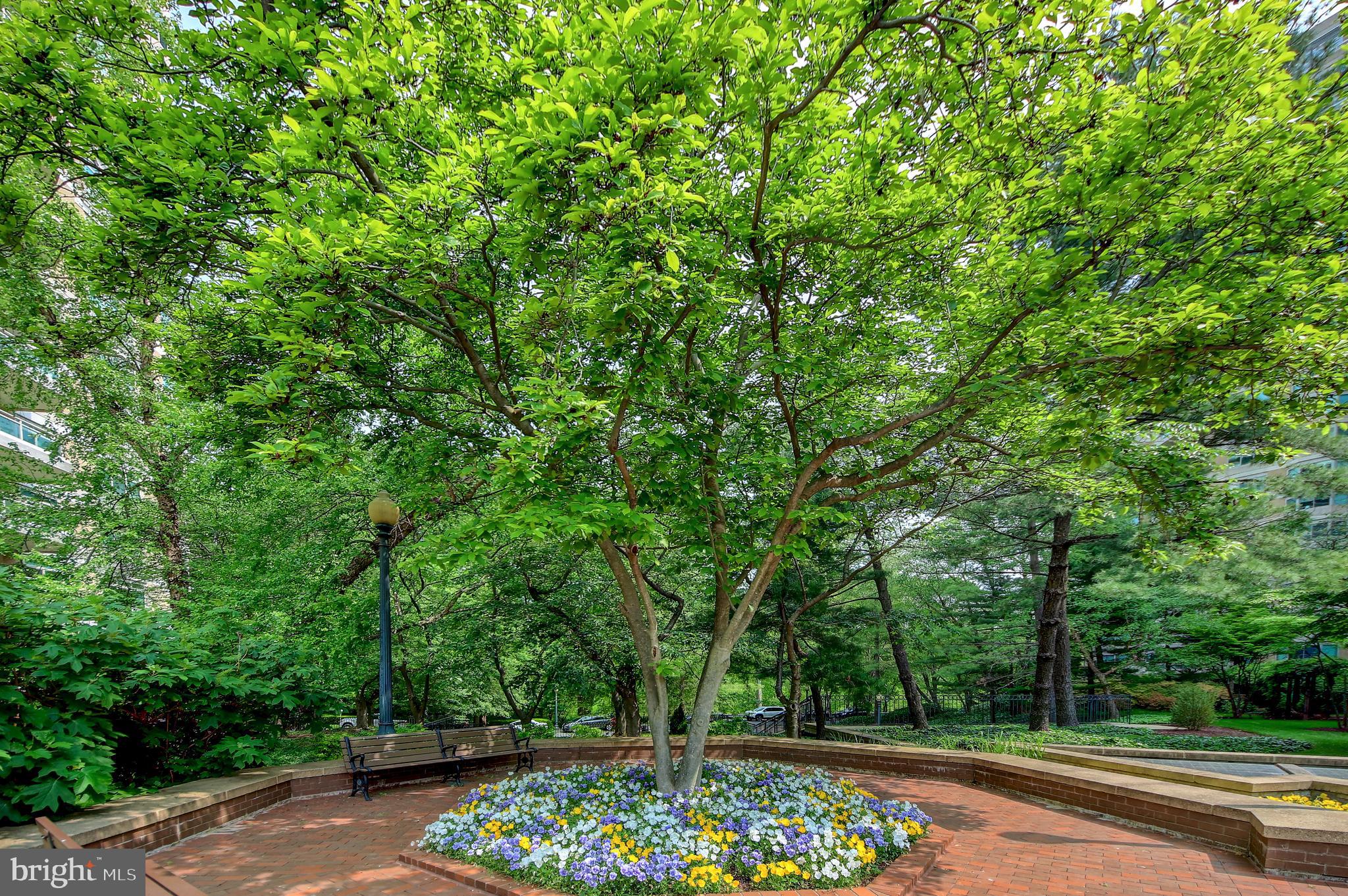 SOMERSET HOUSE - Residential