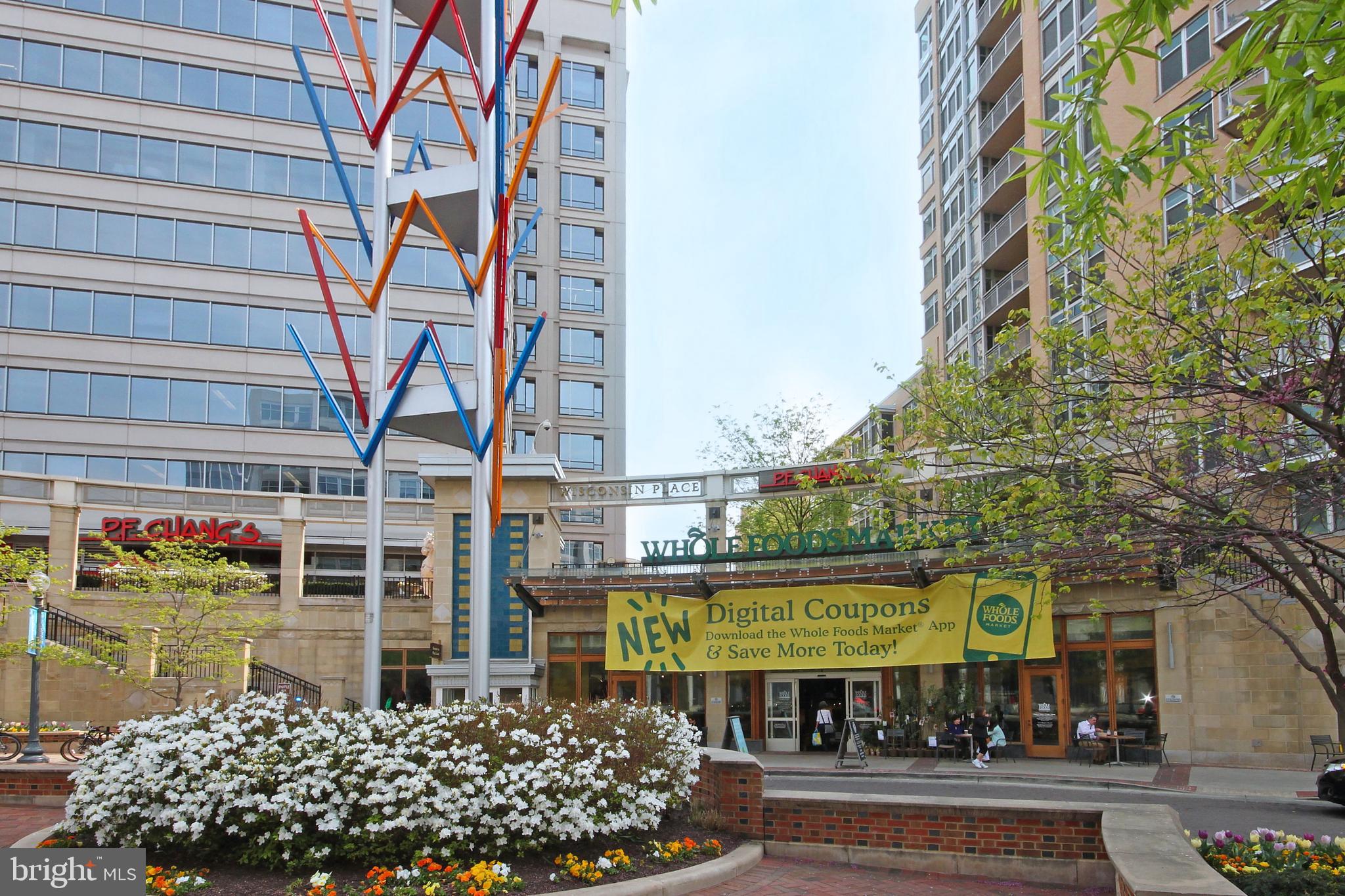 SOMERSET HOUSE - Residential