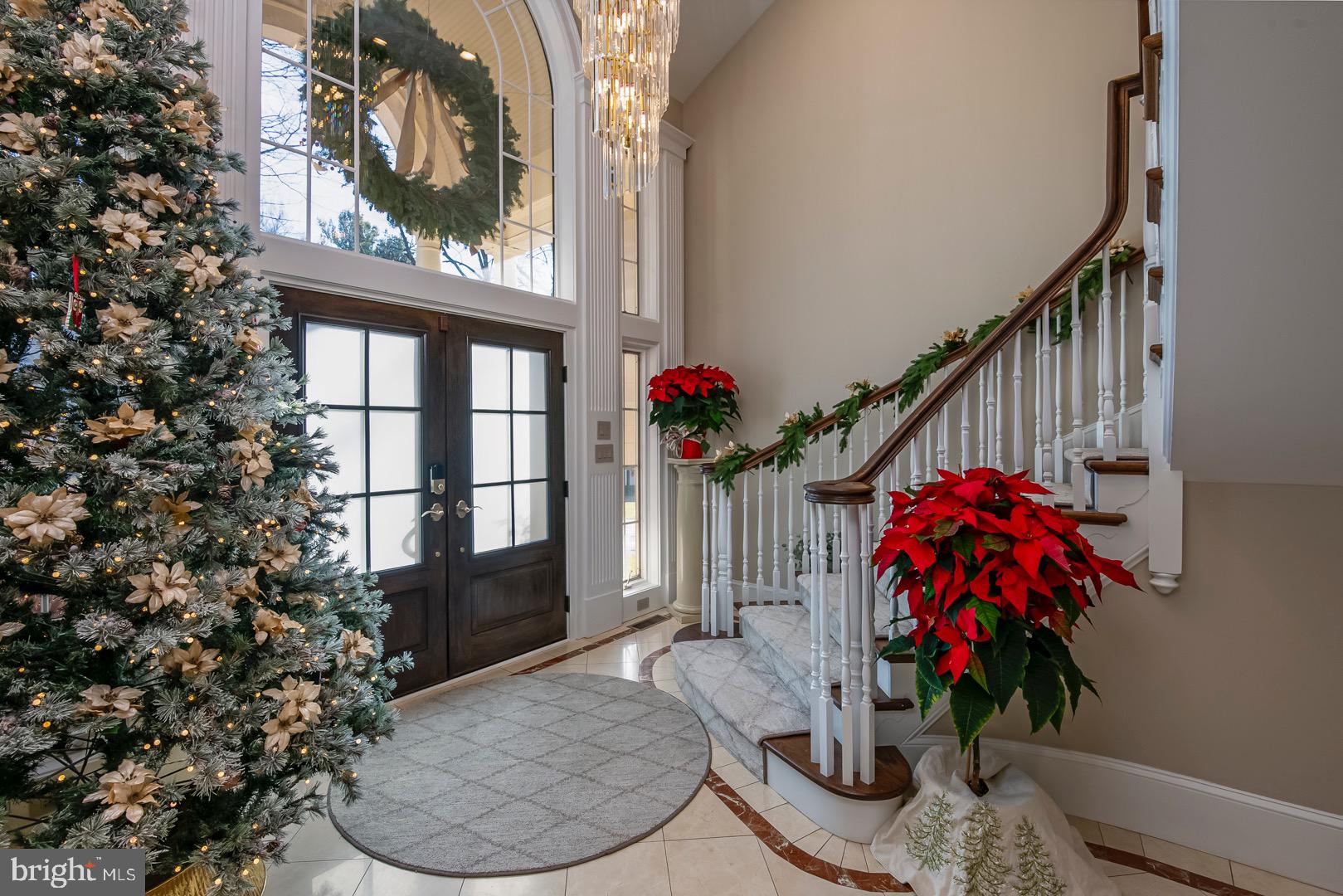 BIRDLAND - Residential