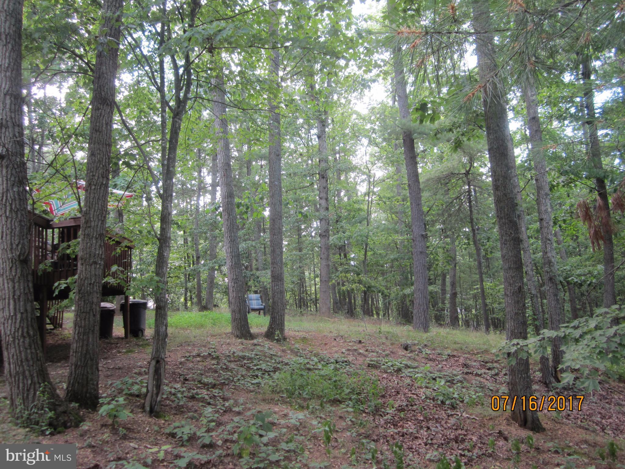 BRYCE MOUNTAIN - Residential