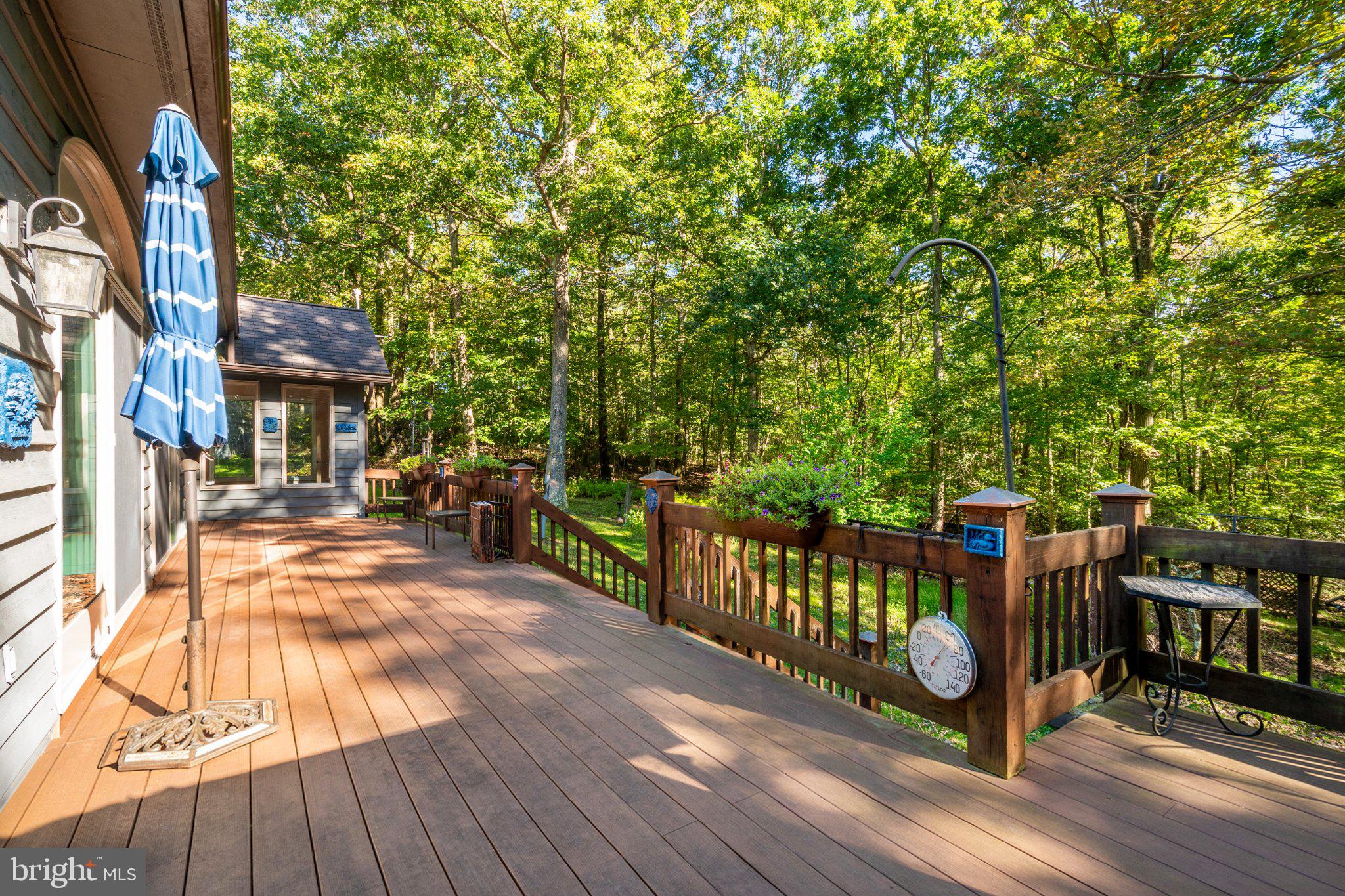 398 SNOWBIRD LANE