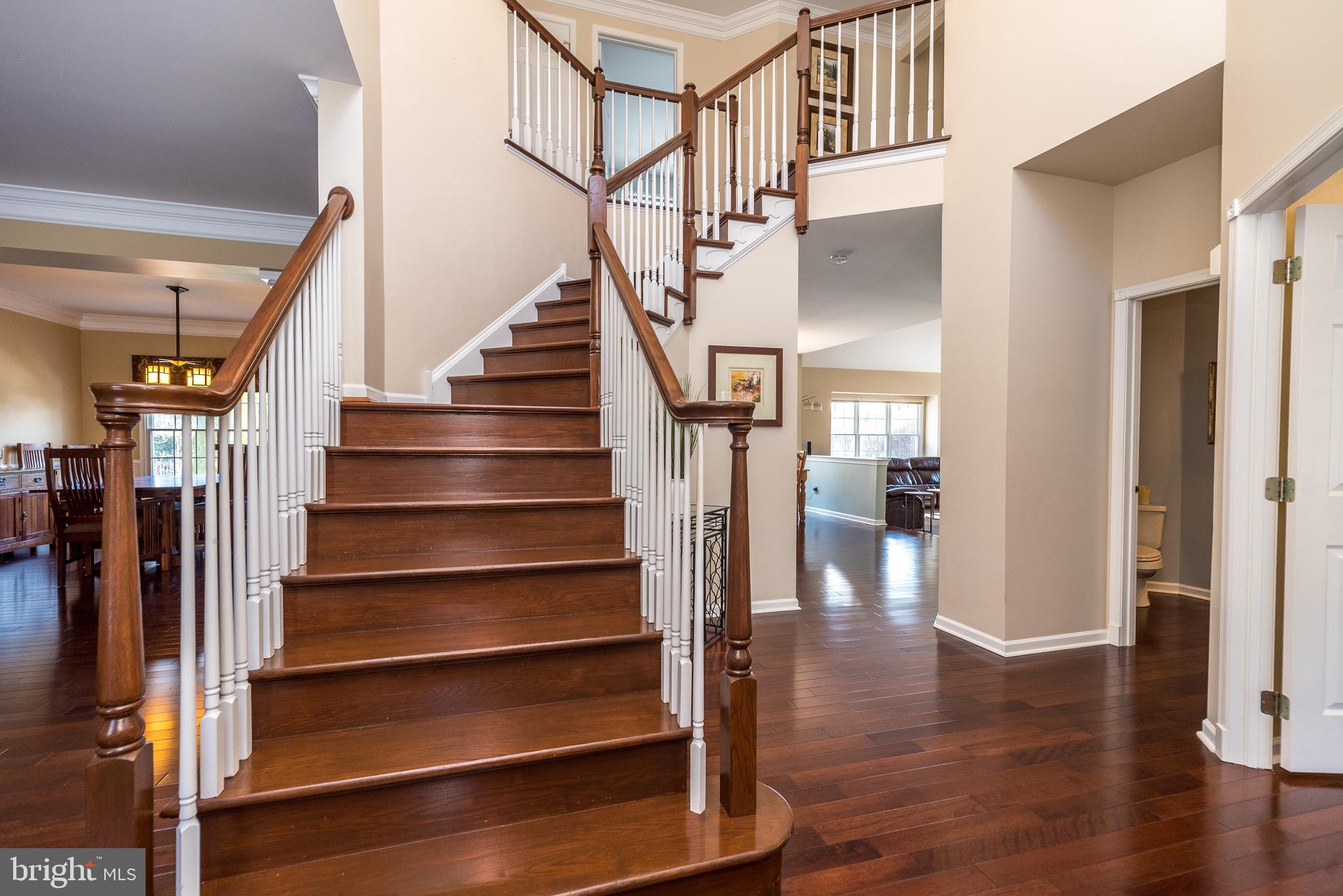 BUCKINGHAM FOREST - Residential