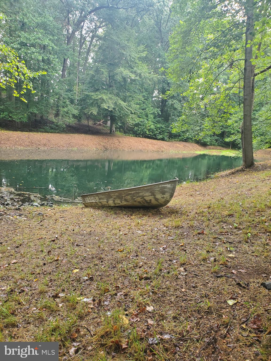 BILL FERGUSON - Residential