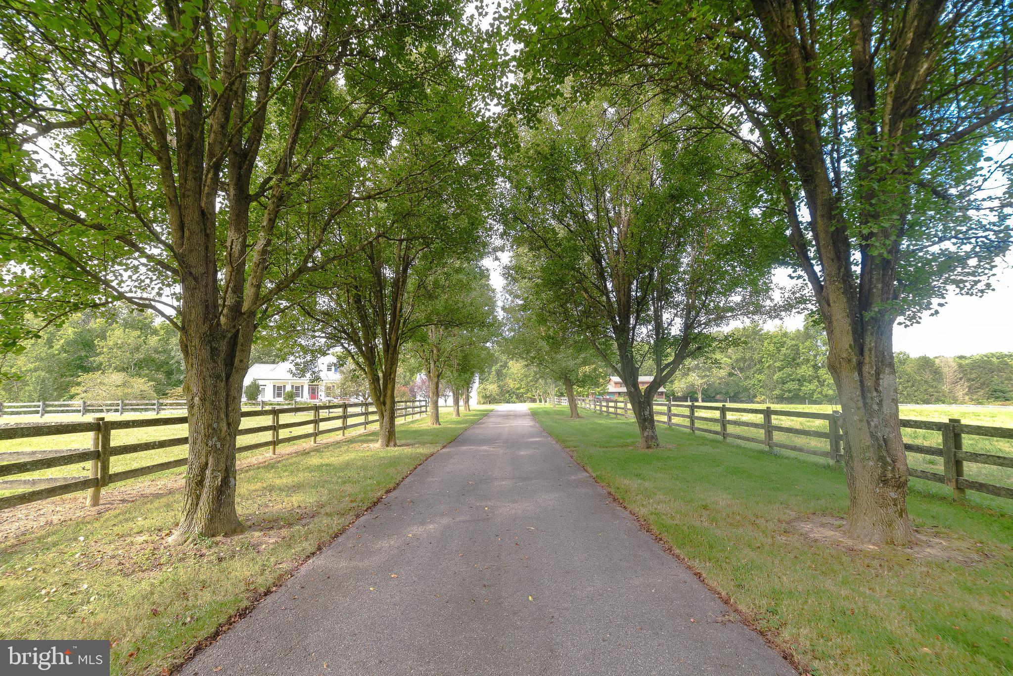 BILL FERGUSON - Residential