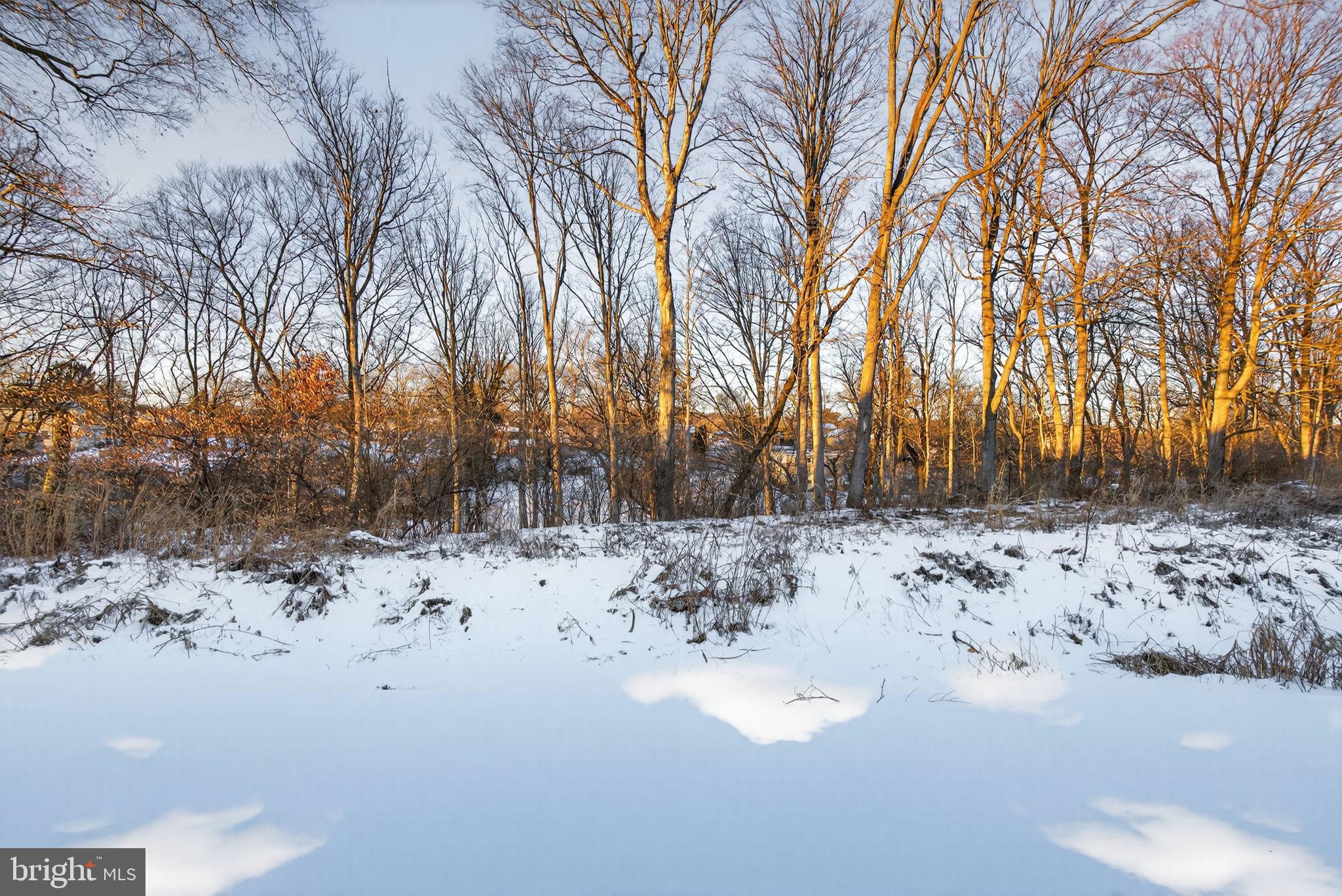 MAYAPPLE WOODS - Residential