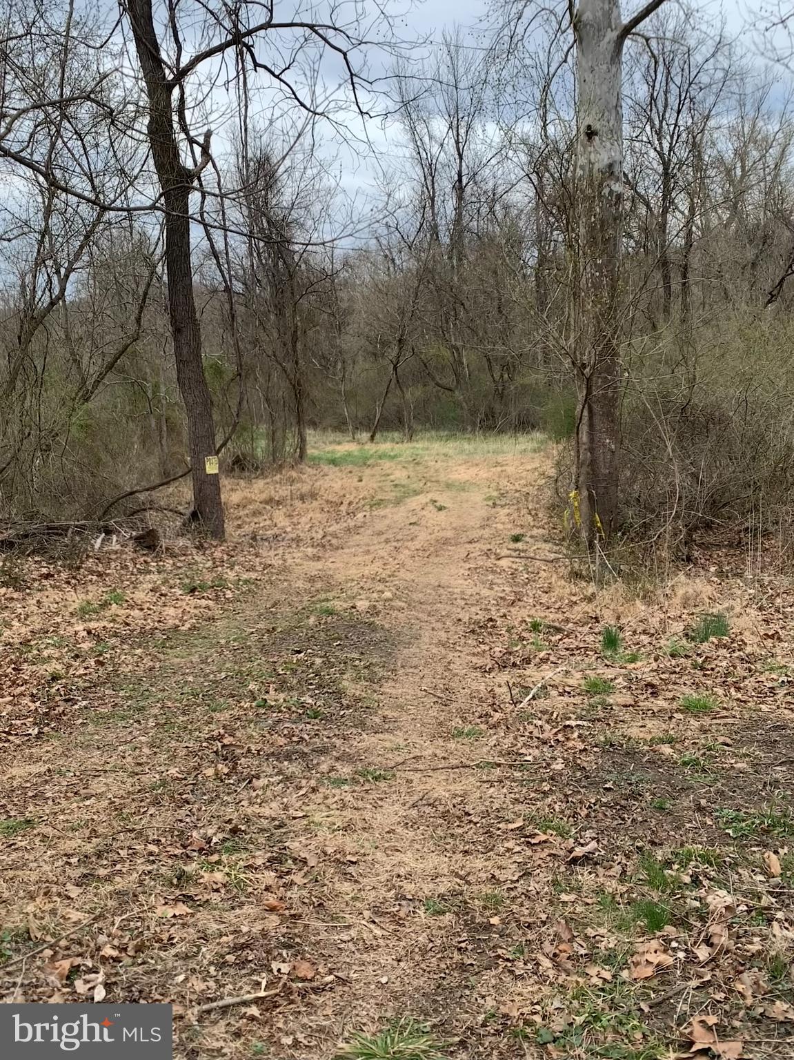 LOW LINE ROAD PT TRACT 7
