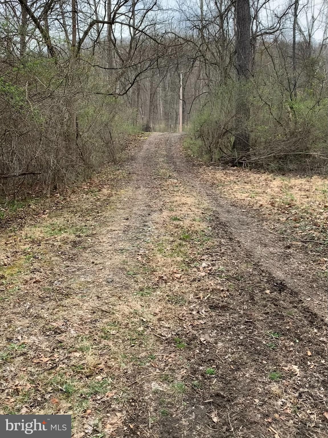 LOW LINE ROAD PT TRACT 7