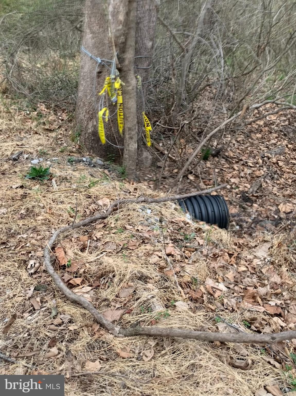 LOW LINE ROAD PT TRACT 7