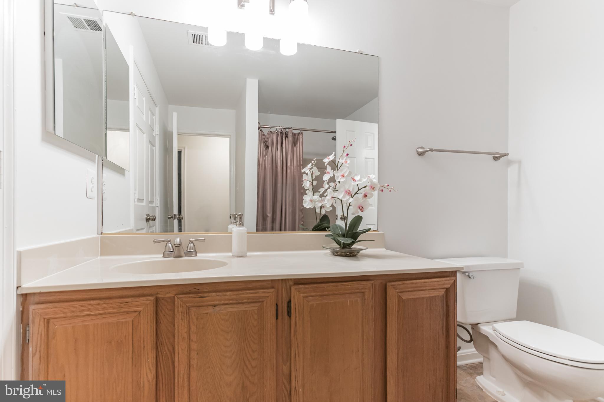 BRISTOL HOUSE - Residential