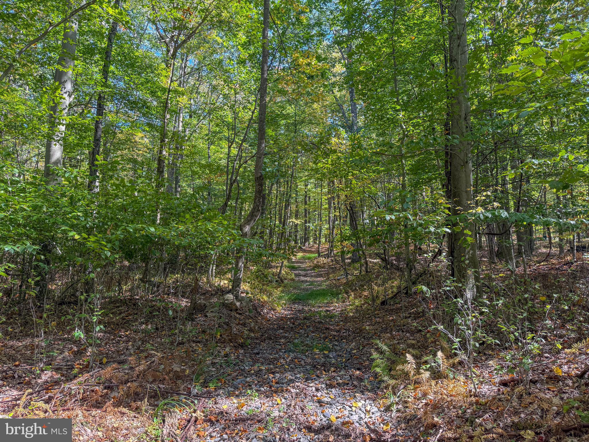 BACKBONE RIDGE - Land